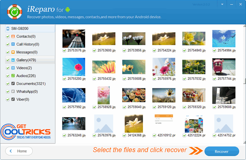 Select the files and click the Recover button