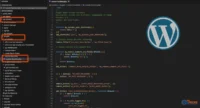 Code editor showing the WordPress plugins folder path and a custom plugin file
