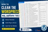 Screenshot of the WordPress wp_options table in phpMyAdmin showing transient records and plugin data with an illustration about cleaning the wp_options table to improve WordPress performance.