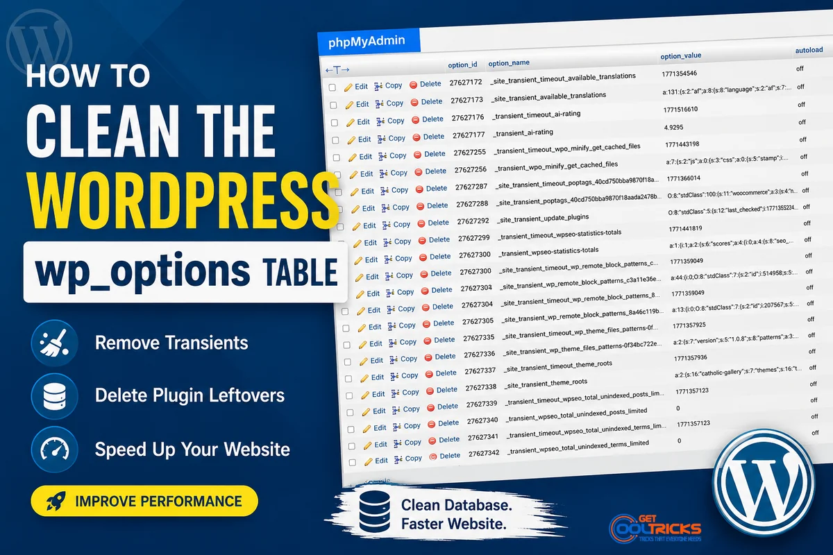 How to Clean the WordPress wp_options Table